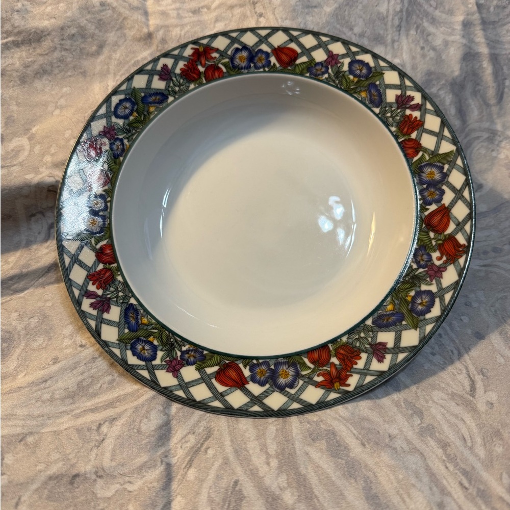 Dansk Nordic Garden 8 3/4” Bowl soup or Salad Discontinued pattern porcelain